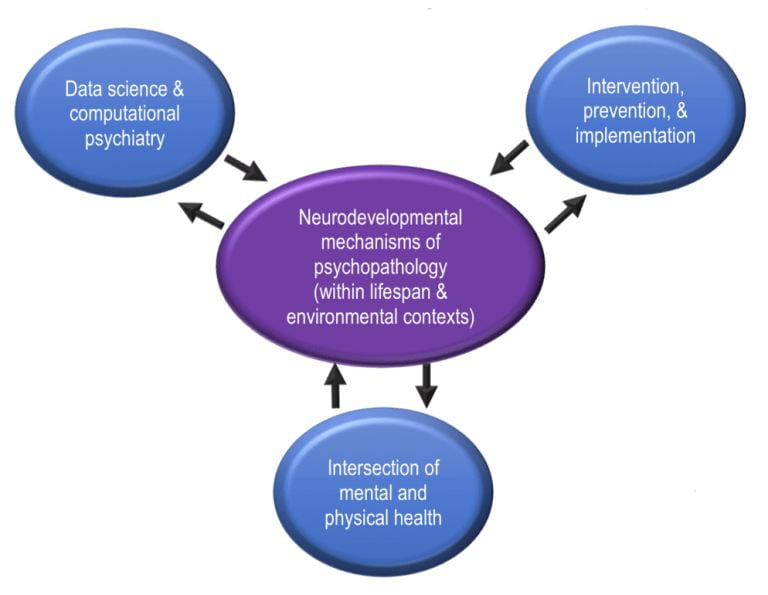 three intersecting [thematic] spheres:  (1) Applied computational and other advanced data science methods  (2) Intervention and prevention/implementation research and strategies  (3) The intersection of mental and pediatric health